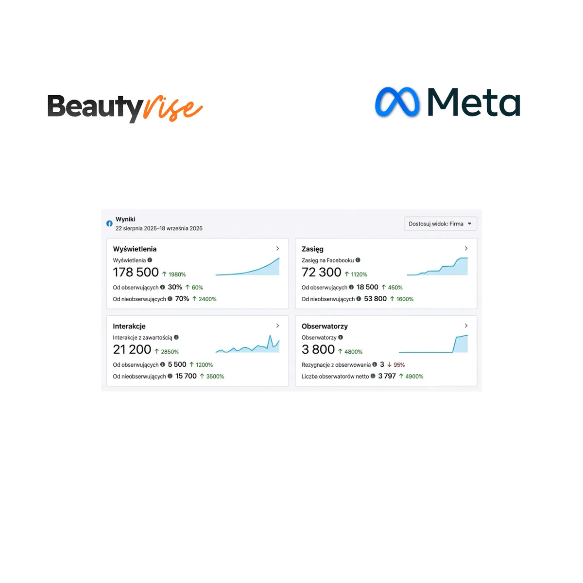 Wyniki kampanii Meta Ads dla salonu beauty - wzrost obserwujących